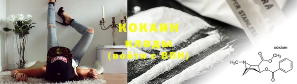 хмурый Абаза