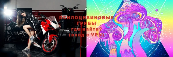 тгк Магас