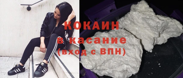 тгк Магас