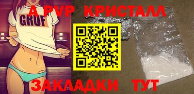 спиды Камышлов