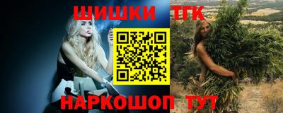 спиды Камышлов