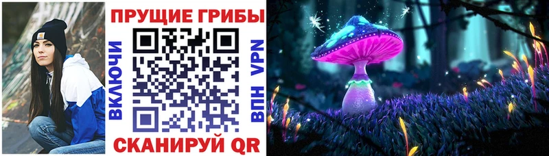 Псилоцибиновые грибы Cubensis  продажа наркотиков  Новомосковск 