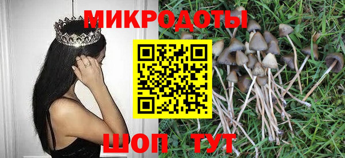 Псилоцибиновые грибы Psilocybine cubensis Новомосковск