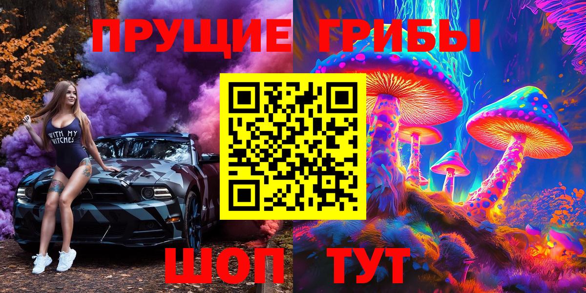 Псилоцибиновые грибы Cubensis  Псилоцибиновые грибы GOLDEN TEACHER  Новомосковск 