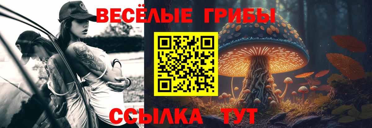 Новомосковск  Псилоцибиновые грибы MAGIC MUSHROOMS  Галлюциногенные грибы Psilocybe  Вход с VPN 